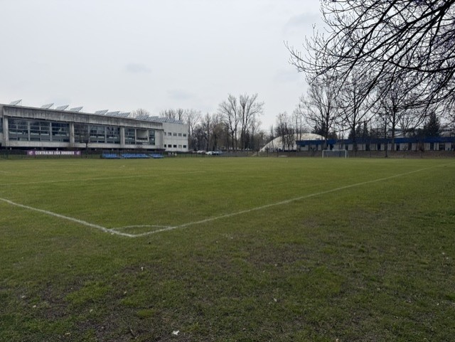 Grass match pitch with stadium